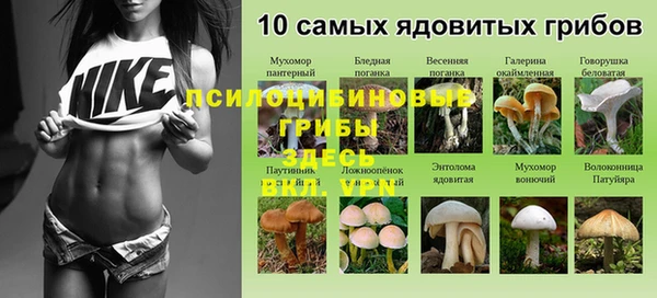мдпв Армянск