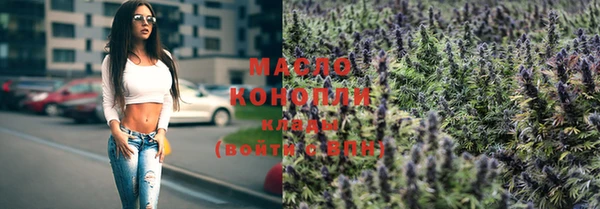 хмурый Мегион