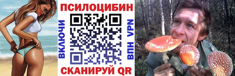 hydra ONION  купить  сайты  Сасово  Псилоцибиновые грибы прущие грибы 